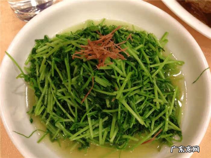 芦蒿是什么 芦蒿