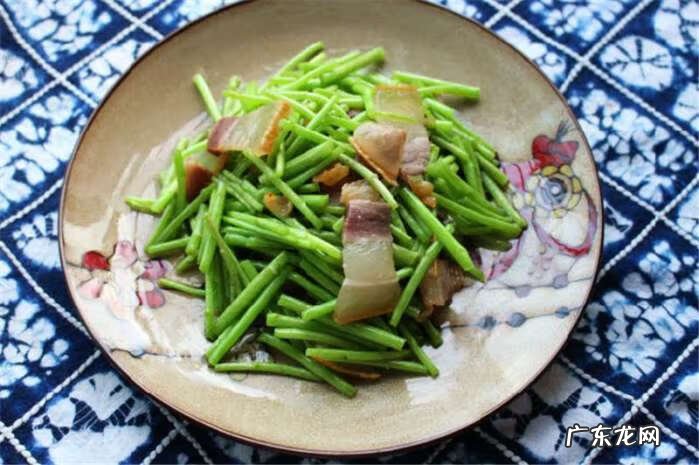 芦蒿是什么 芦蒿