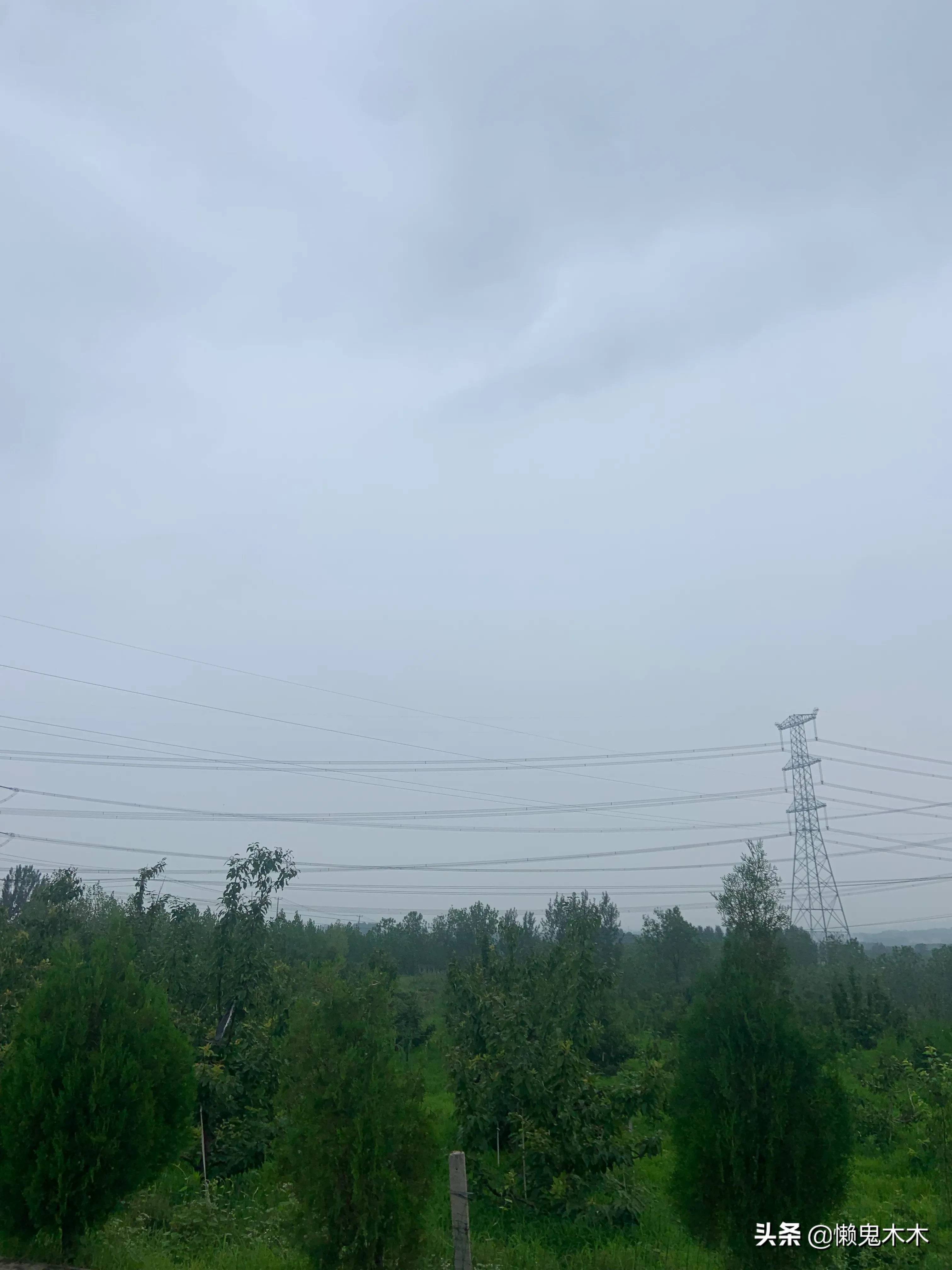 妻子过世了,丈夫会伤心多久?