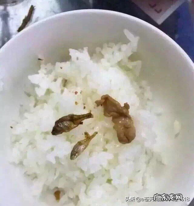 新任店长如何做好餐饮管理工作？