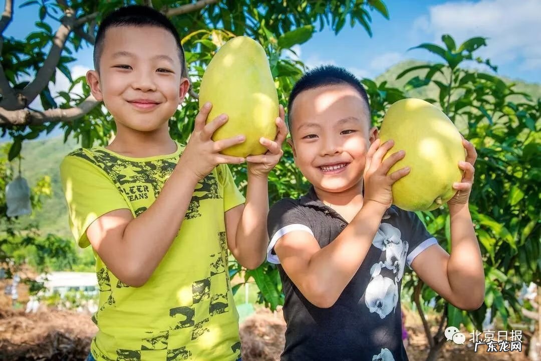 北京二胎需要什么手续 北京二胎补贴政策