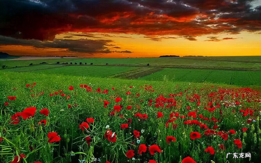 五行封印 封印是什么意思