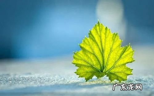 五行封印 封印是什么意思