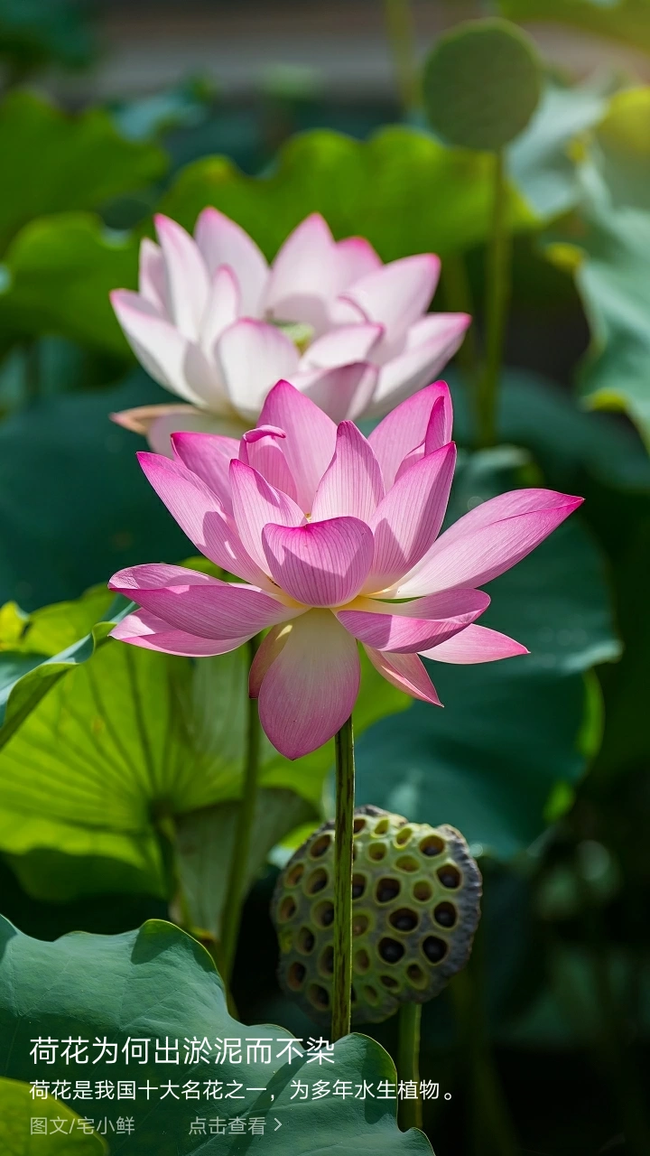 我看到楼下一家药店开张,各种横幅祝贺,祝福生意兴隆,财源广进,你怎么看?
