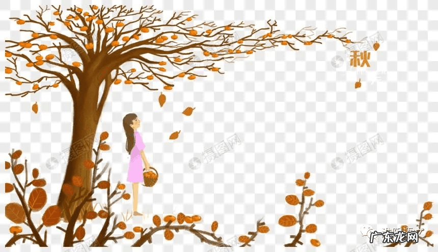 门前两棵樟树风水好不好 门前有樟树的风水好不好