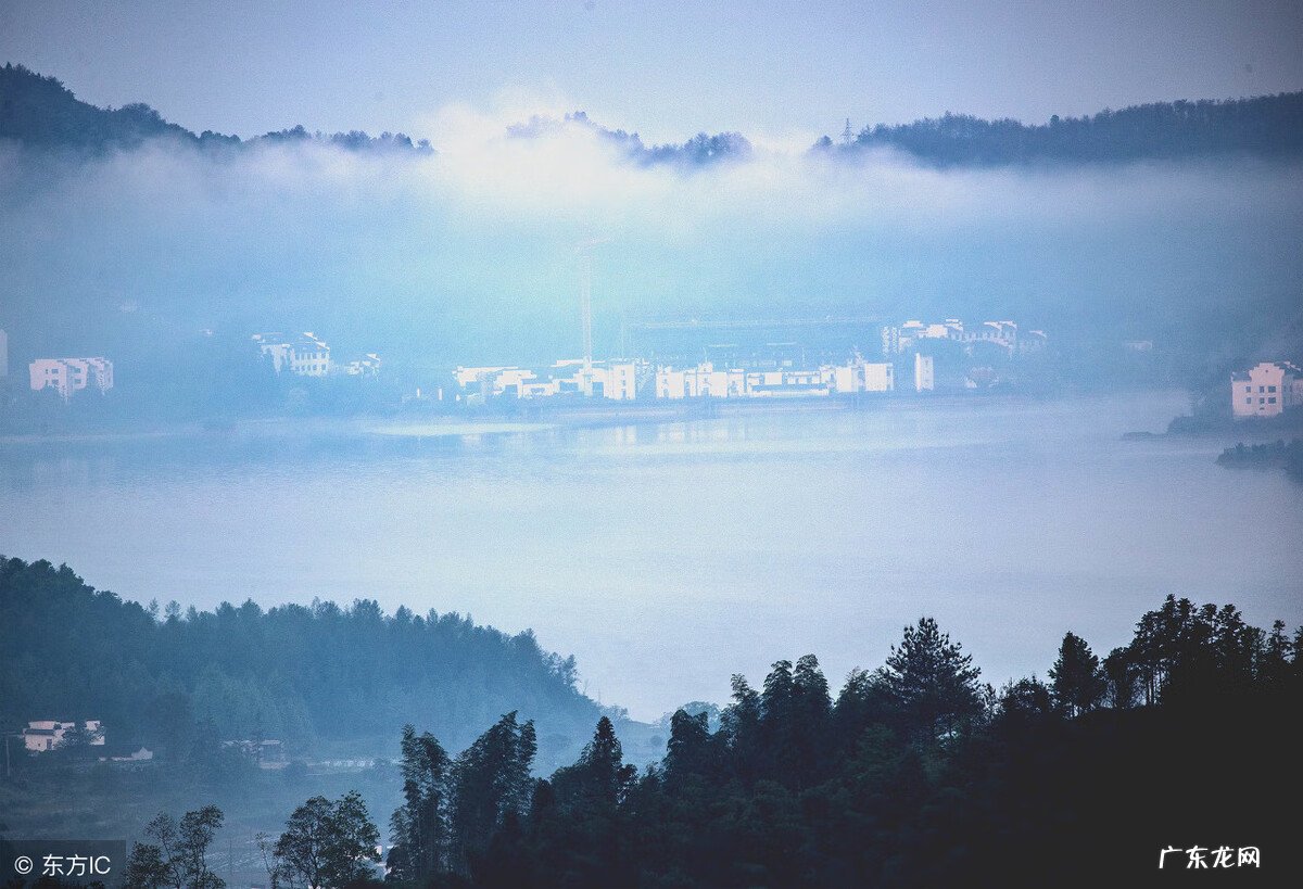 住宅风水成柏林 风水名家柏甲午