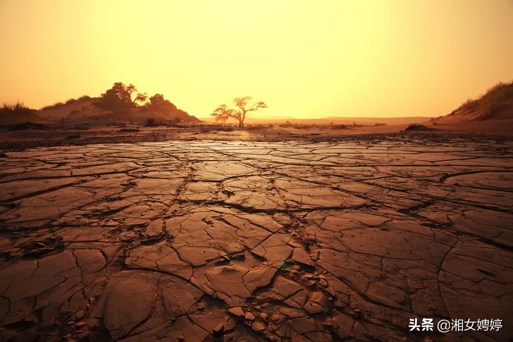 明天谷雨,“谷雨无雨,交回田主”是什么意思?无雨是指当天无雨吗?