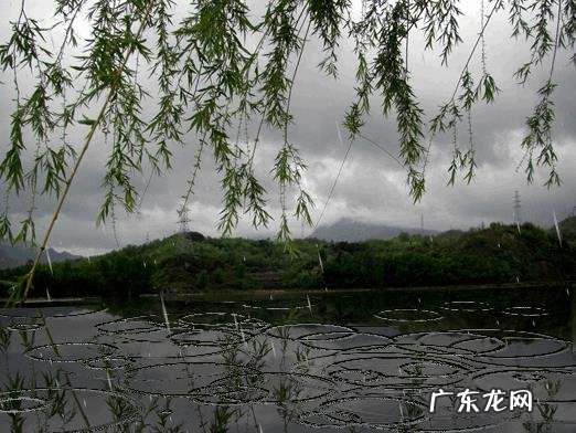 明天谷雨,“谷雨无雨,交回田主”是什么意思?无雨是指当天无雨吗?