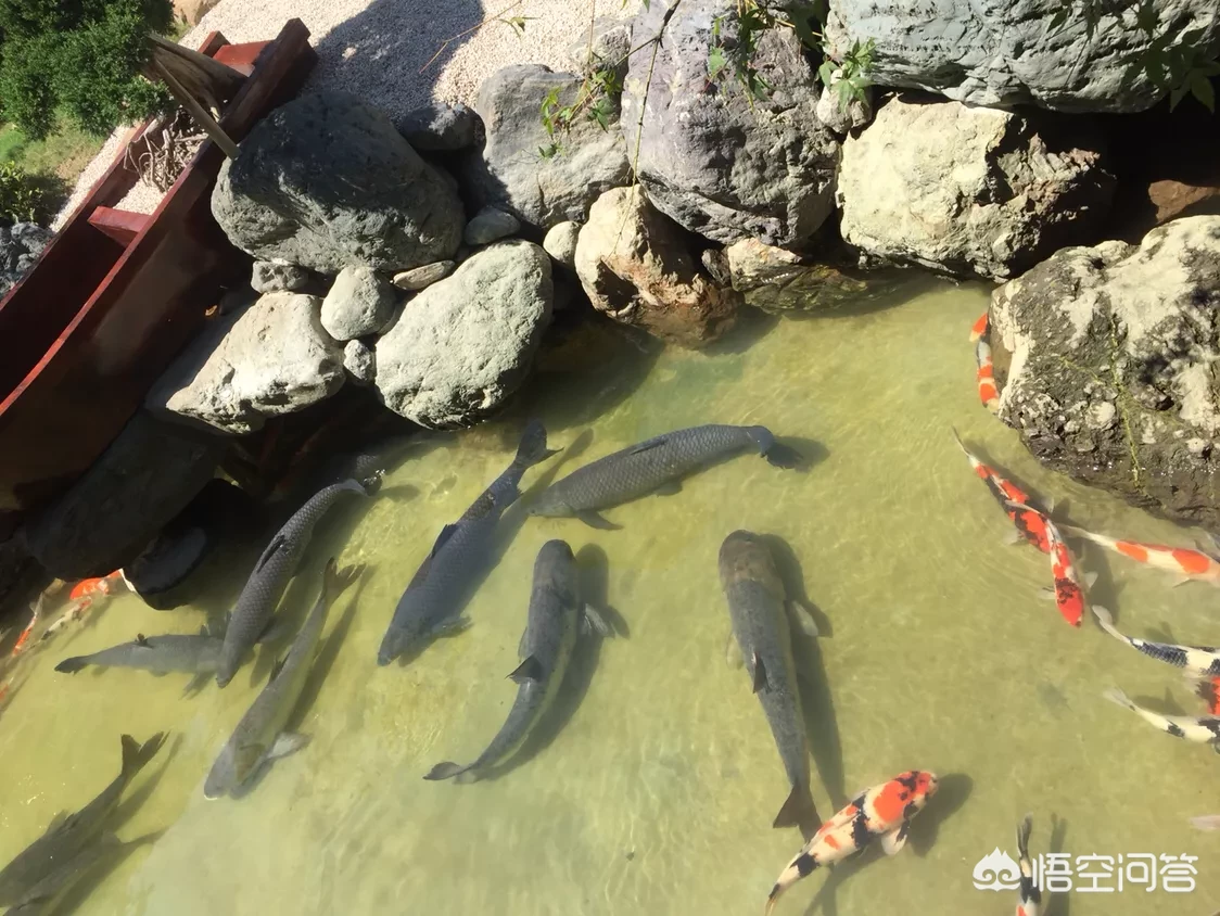 失恋了有必要挽回对方吗？