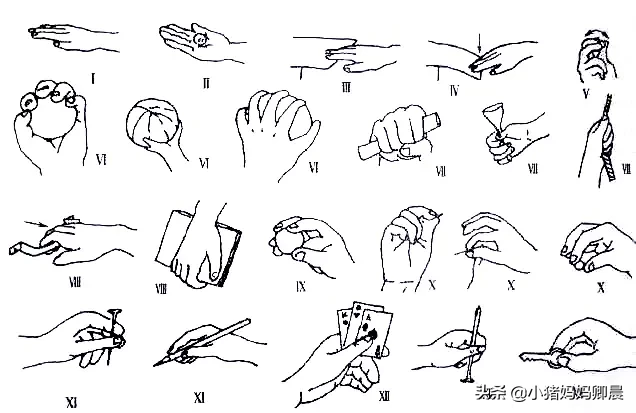 有什么好的早教方式和材料?