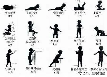 有什么好的早教方式和材料?