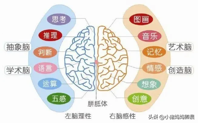 有什么好的早教方式和材料?