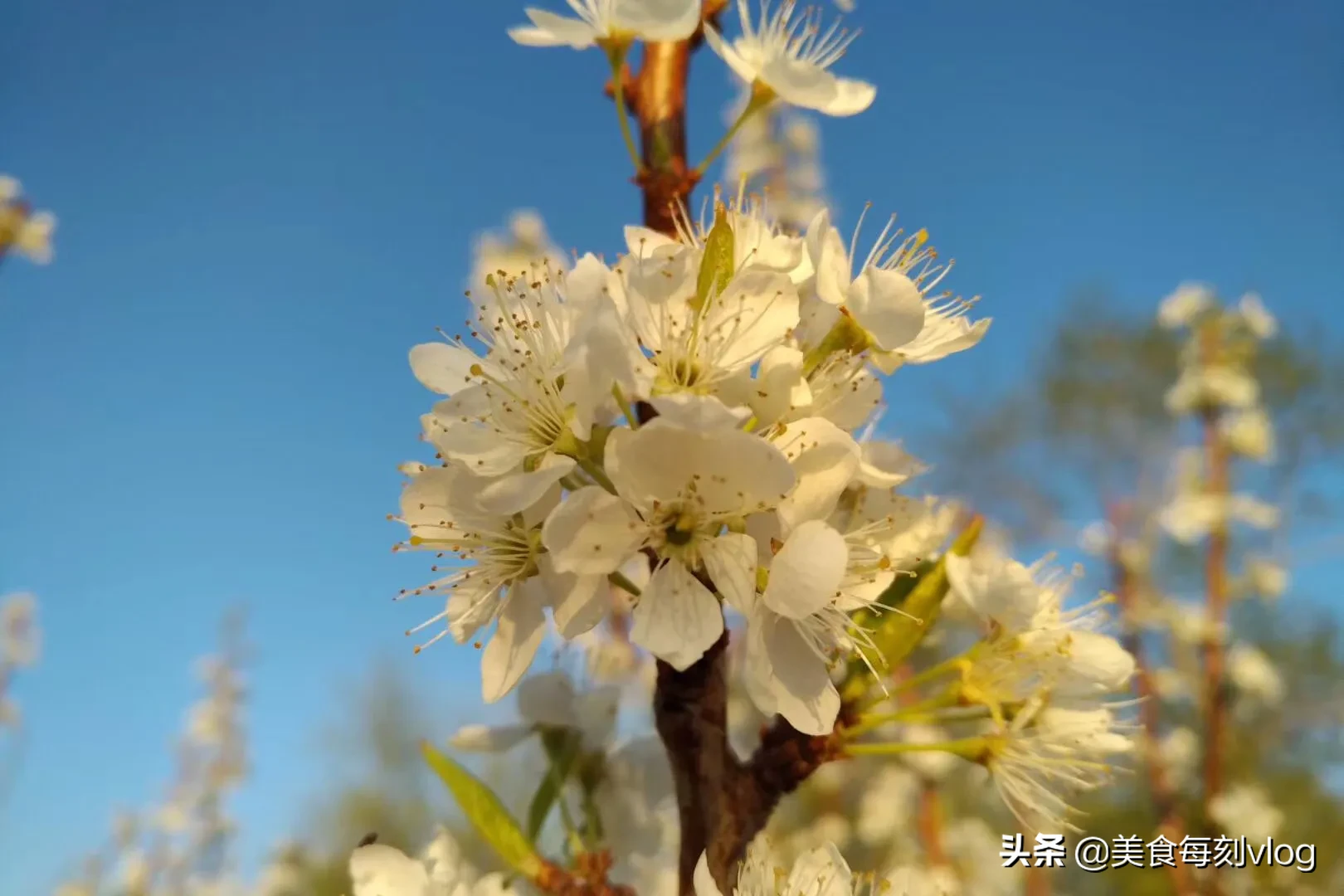 抖音是怎么涨粉的啊？