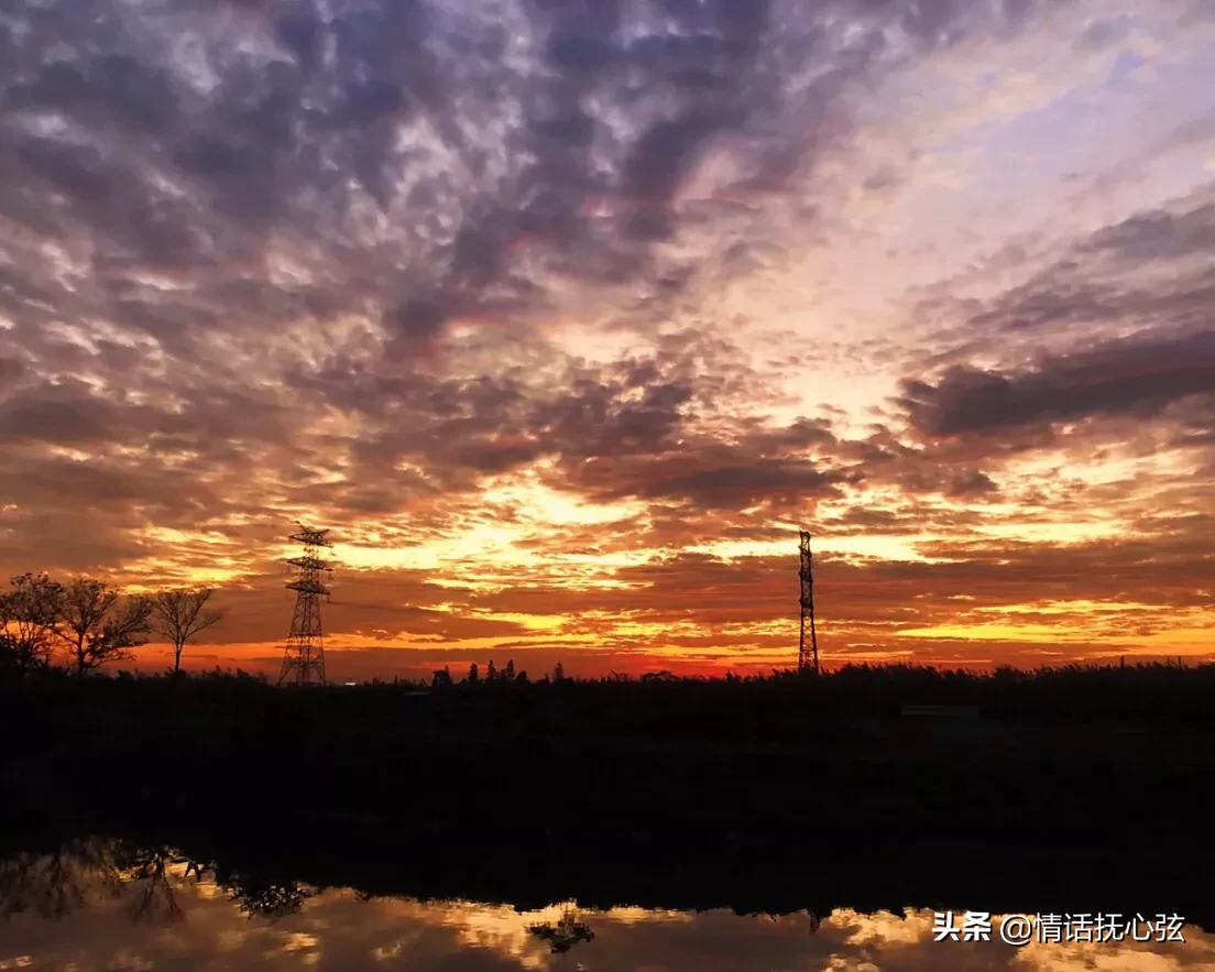 有哪些唯美古风句子适合写在书签上?