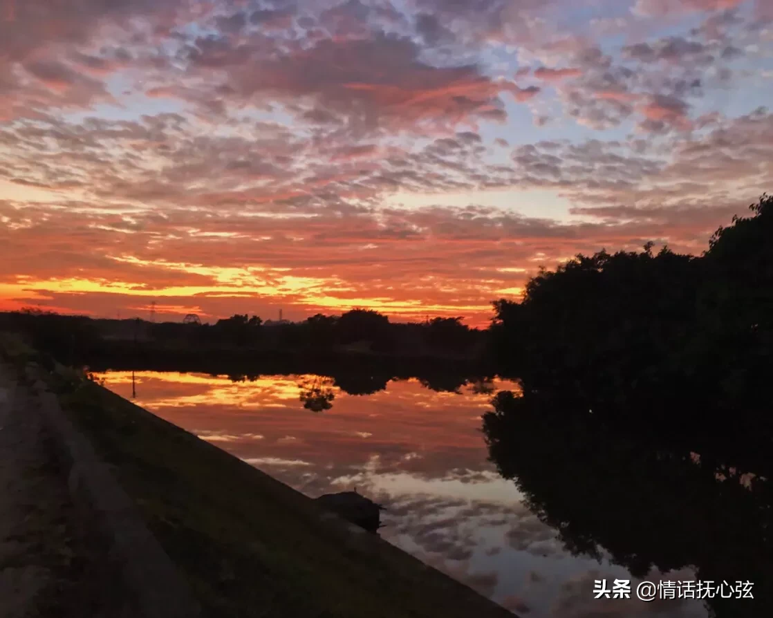 有哪些唯美古风句子适合写在书签上?
