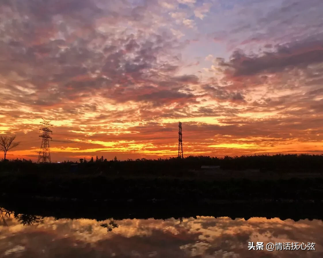 有哪些唯美古风句子适合写在书签上?