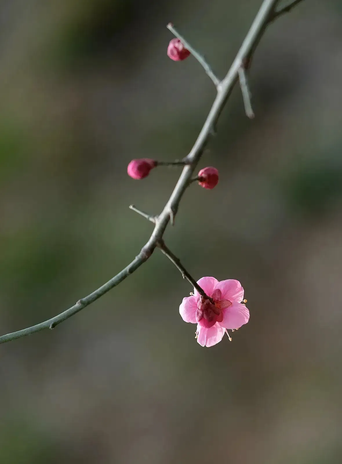 有哪些令你美到心醉的句子?