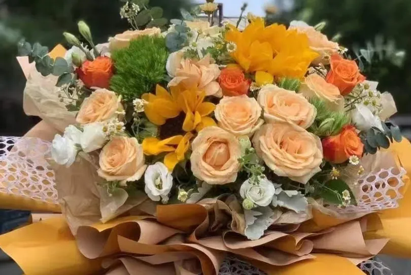 有哪些令你美到心醉的句子?