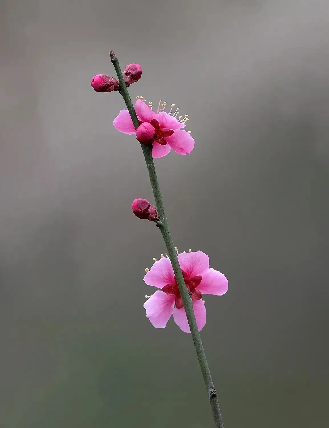 有哪些令你美到心醉的句子?