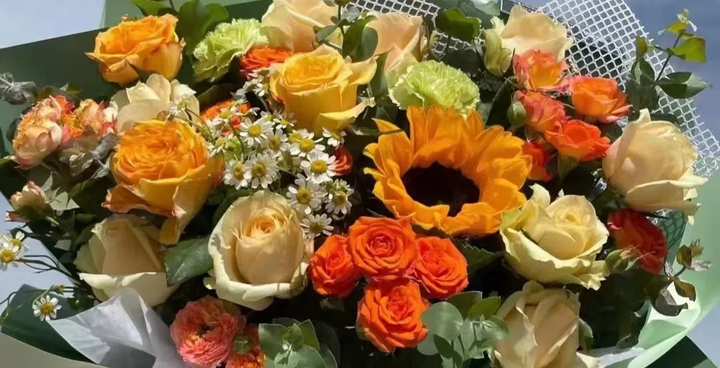 有哪些令你美到心醉的句子?