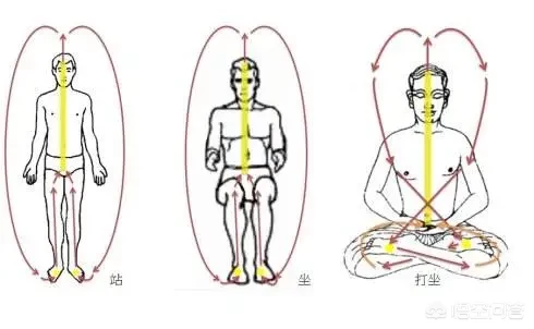 对于锻炼身体,跑步,太极,气功三者哪个作用更大?