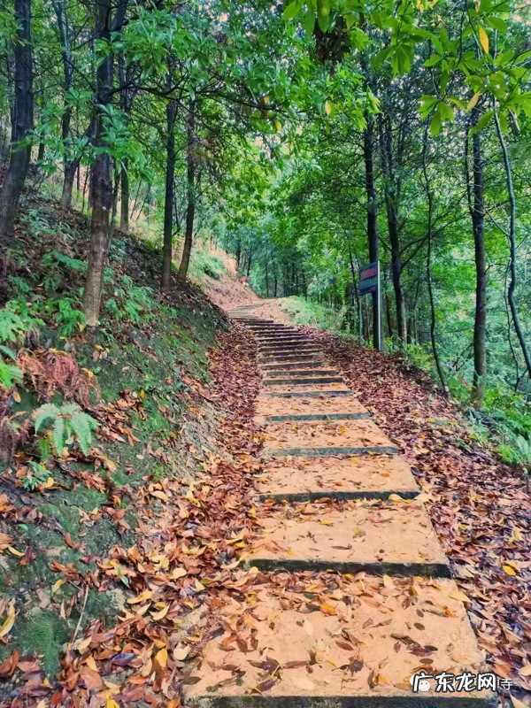 响水山庄 普照寺风水