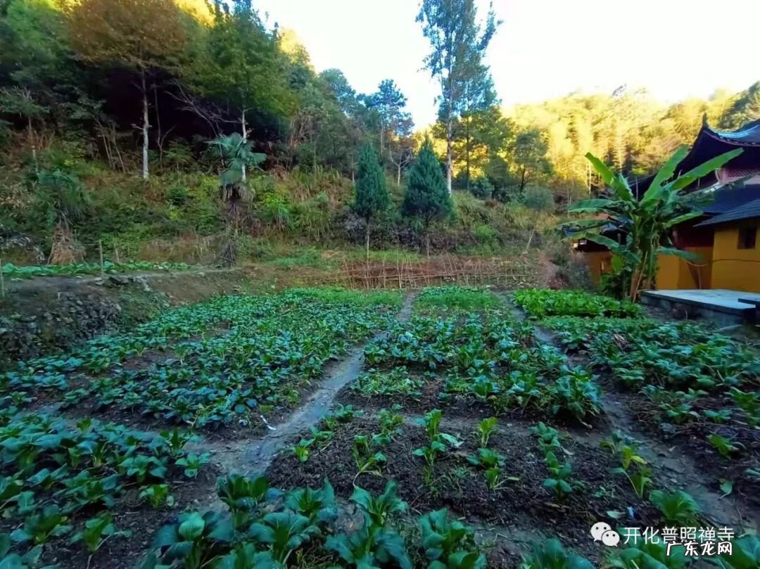 响水山庄 普照寺风水