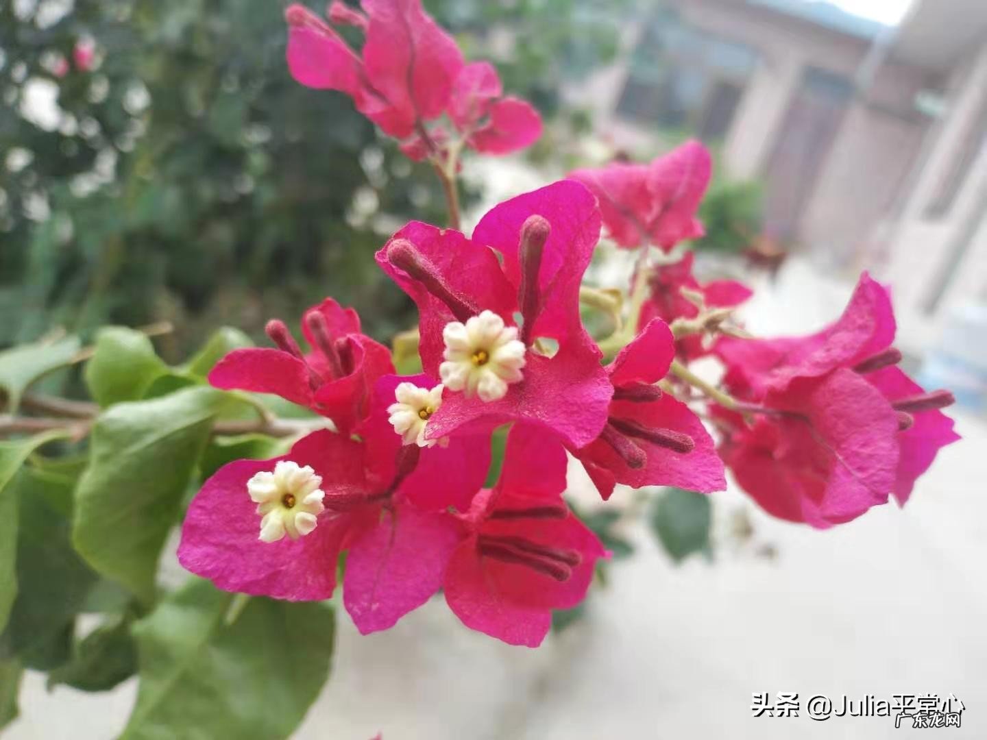 教师节快到了,可以用什么方式感谢师恩?