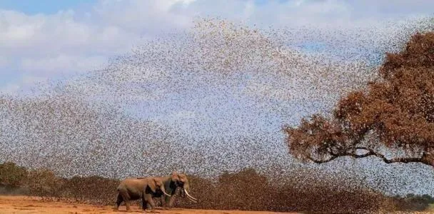 今年高考数学那么难，区分度会好吗？