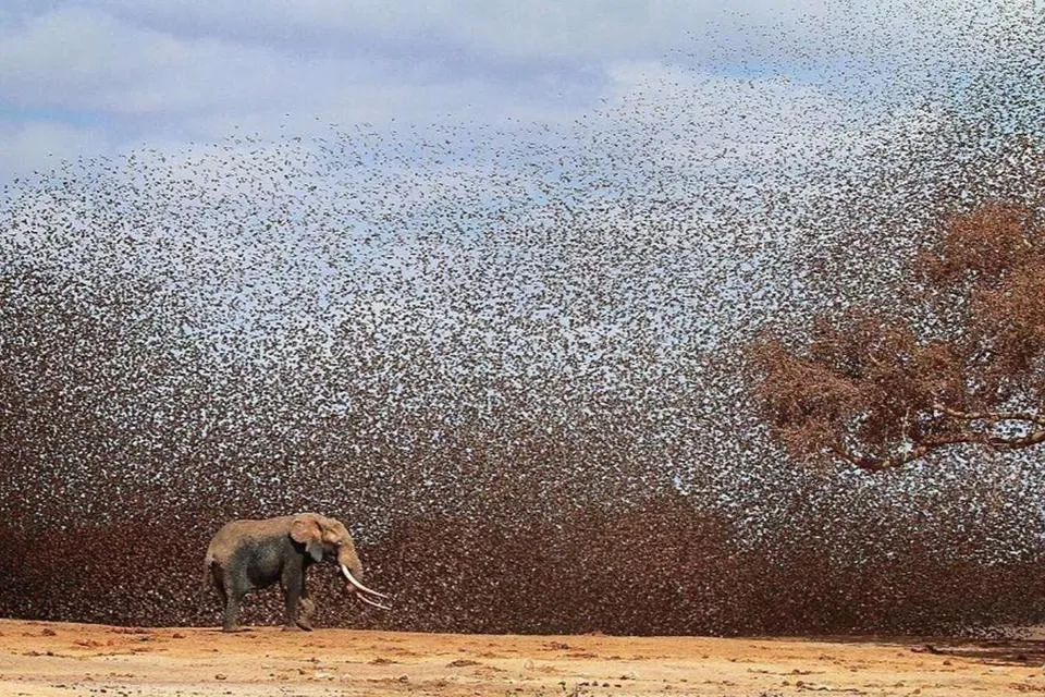 今年高考数学那么难，区分度会好吗？