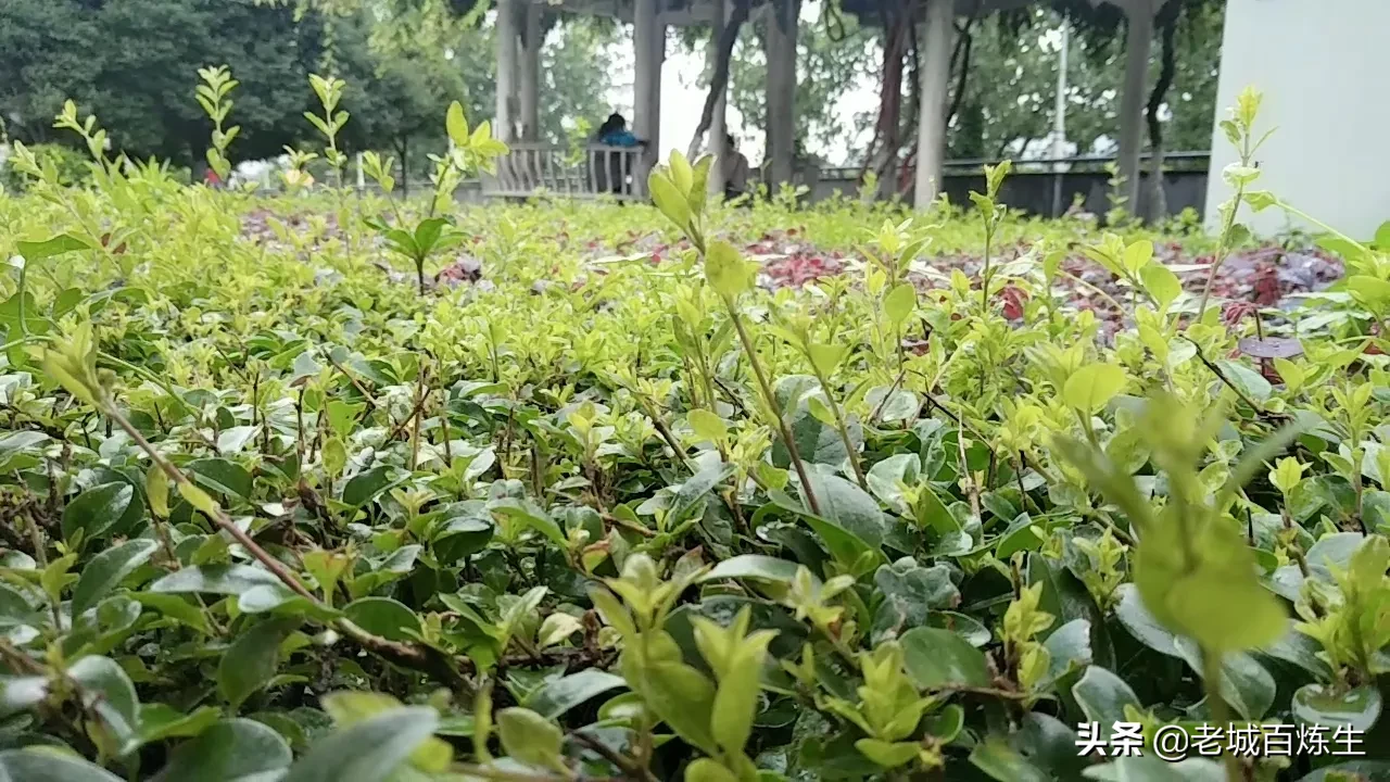 有哪些意境类似「陌上花开可缓缓归矣」的句子?