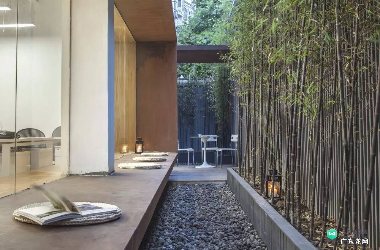 梅花种别墅风水好吗 院子载梅花的风水