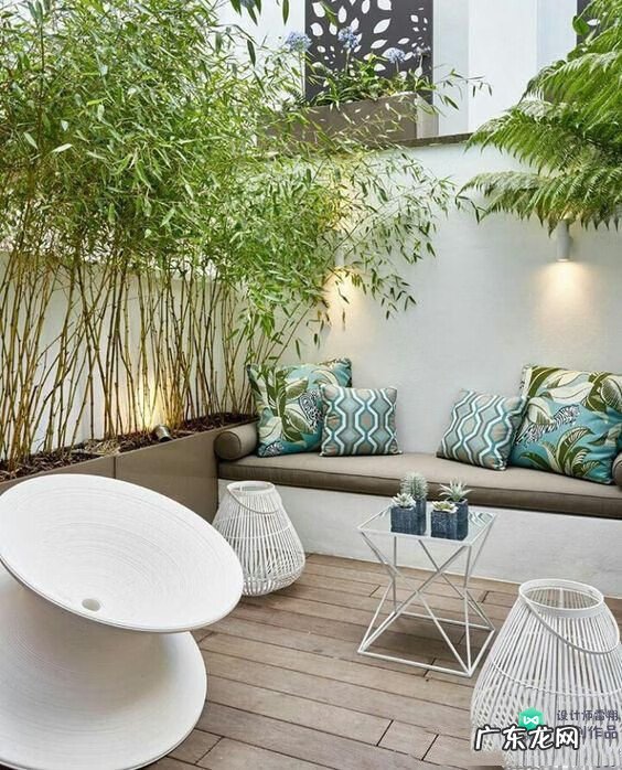 梅花种别墅风水好吗 院子载梅花的风水