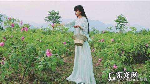 发现女儿早恋,该怎么教育她?