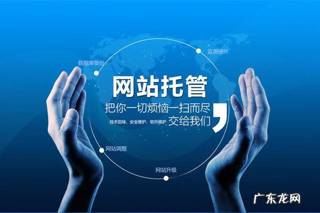 广州门户网站开发 广州网站开发公司