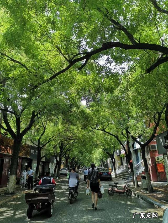 写名胜古迹作文600字 描写名胜古迹的作文