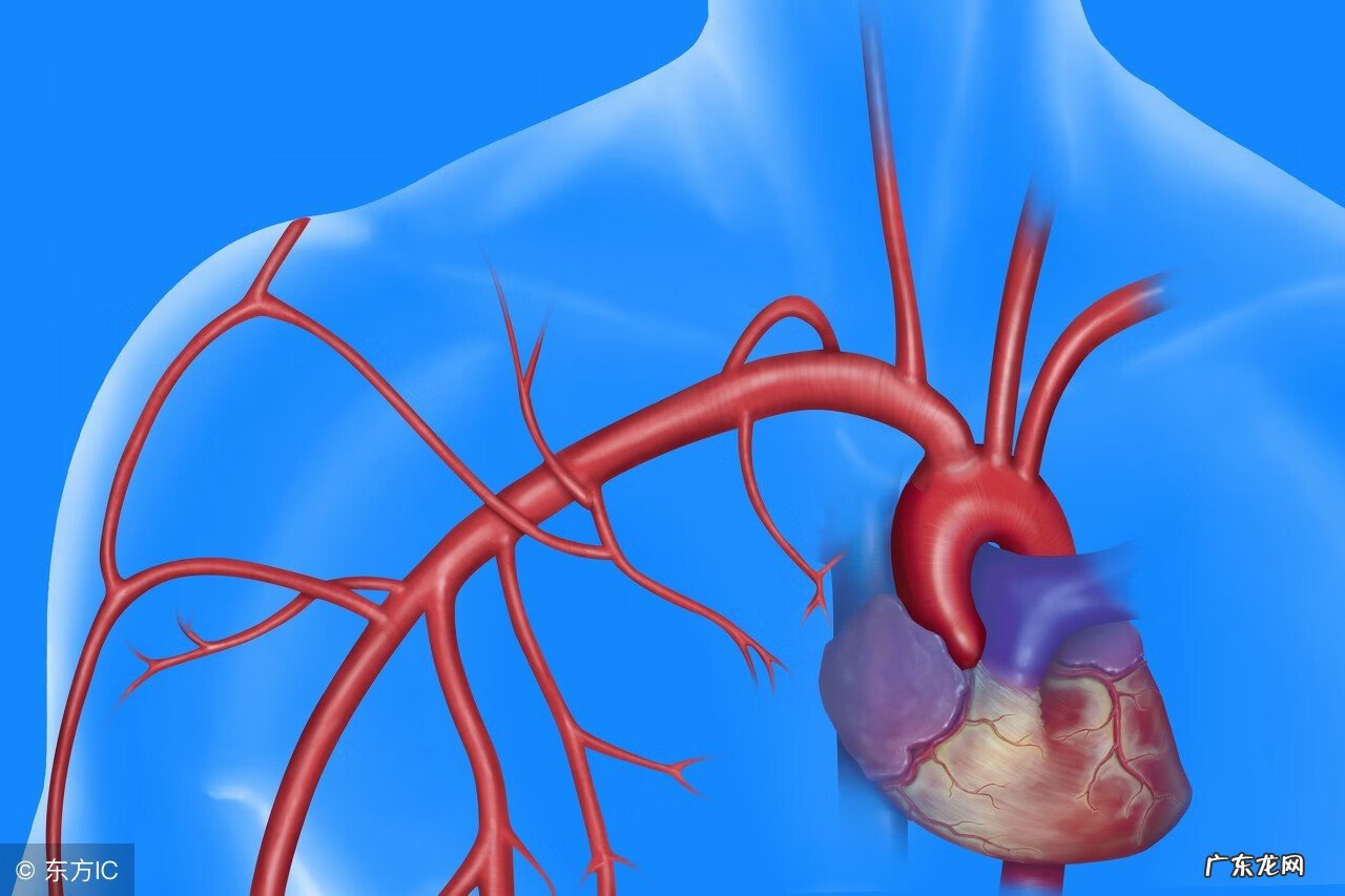 冠状沟粘连 包茎粘连