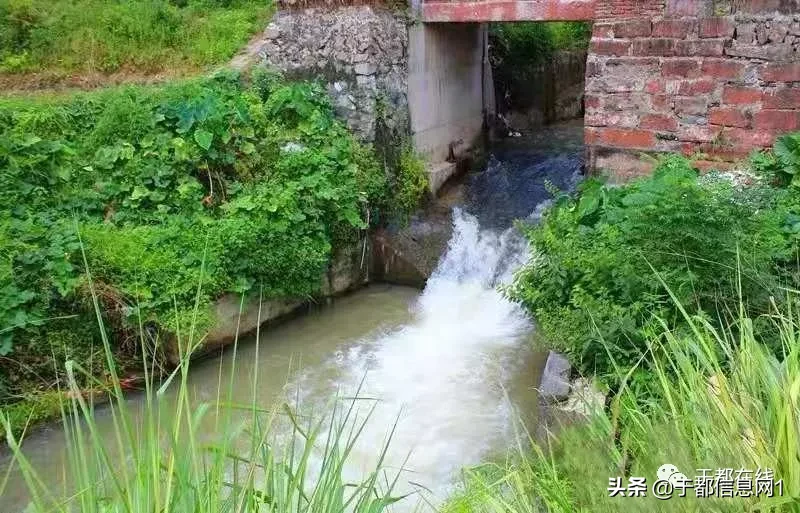 桥下的风水怎么样