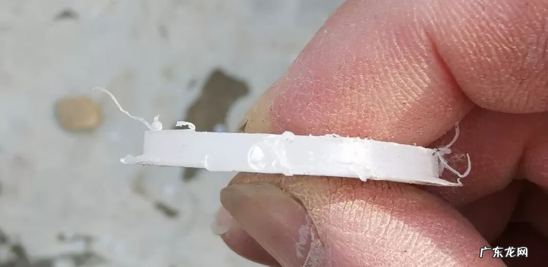 屋顶有树会影响风水吗 楼顶有树 风水