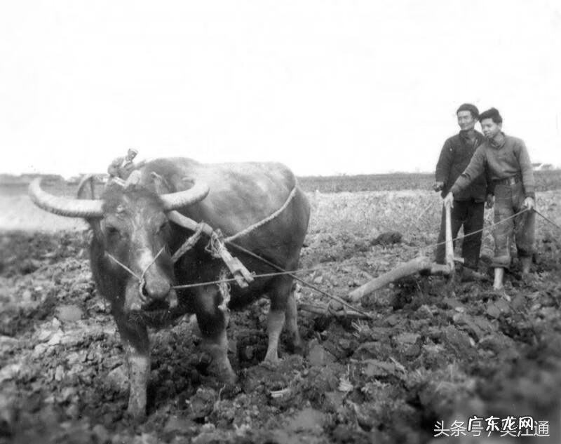 风水知识 募风水
