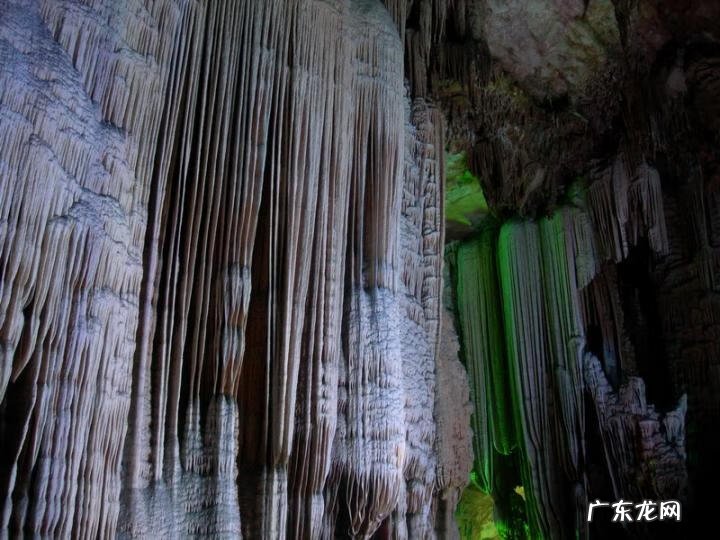 飞凤地风水出什么人 飞凤含珠风水解说
