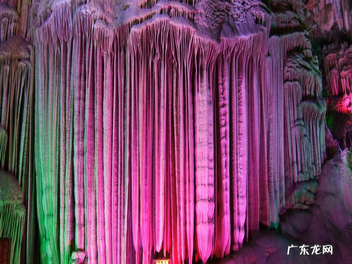 飞凤地风水出什么人 飞凤含珠风水解说