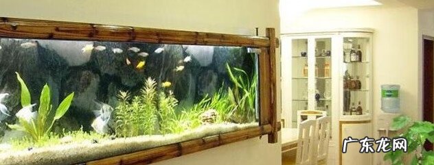 家里怎么放鱼缸风水好 家里风水鱼缸的摆放方位