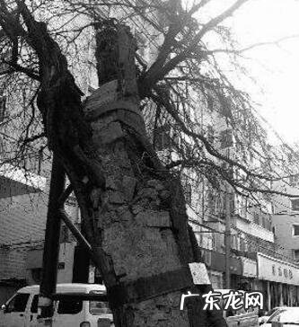 厕所堵会不会影响风水 堵门风水上有讲究吗