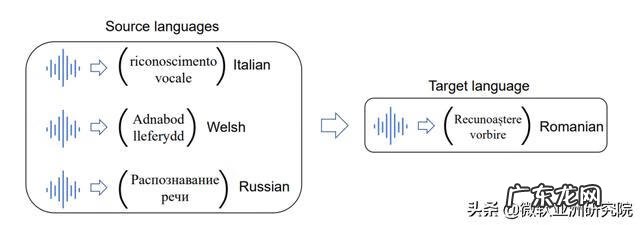 小语种难度排名 语种识别