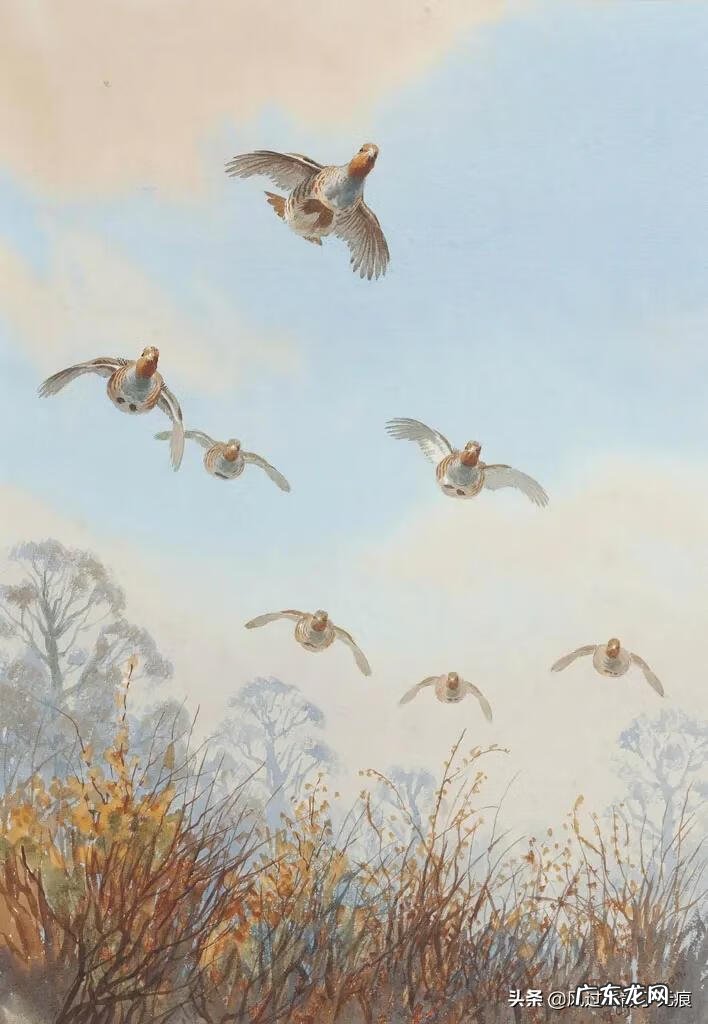 猎人三仙姑 猎人的老婆