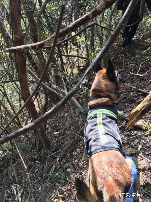 国民英雄有哪些人 国民英雄任务