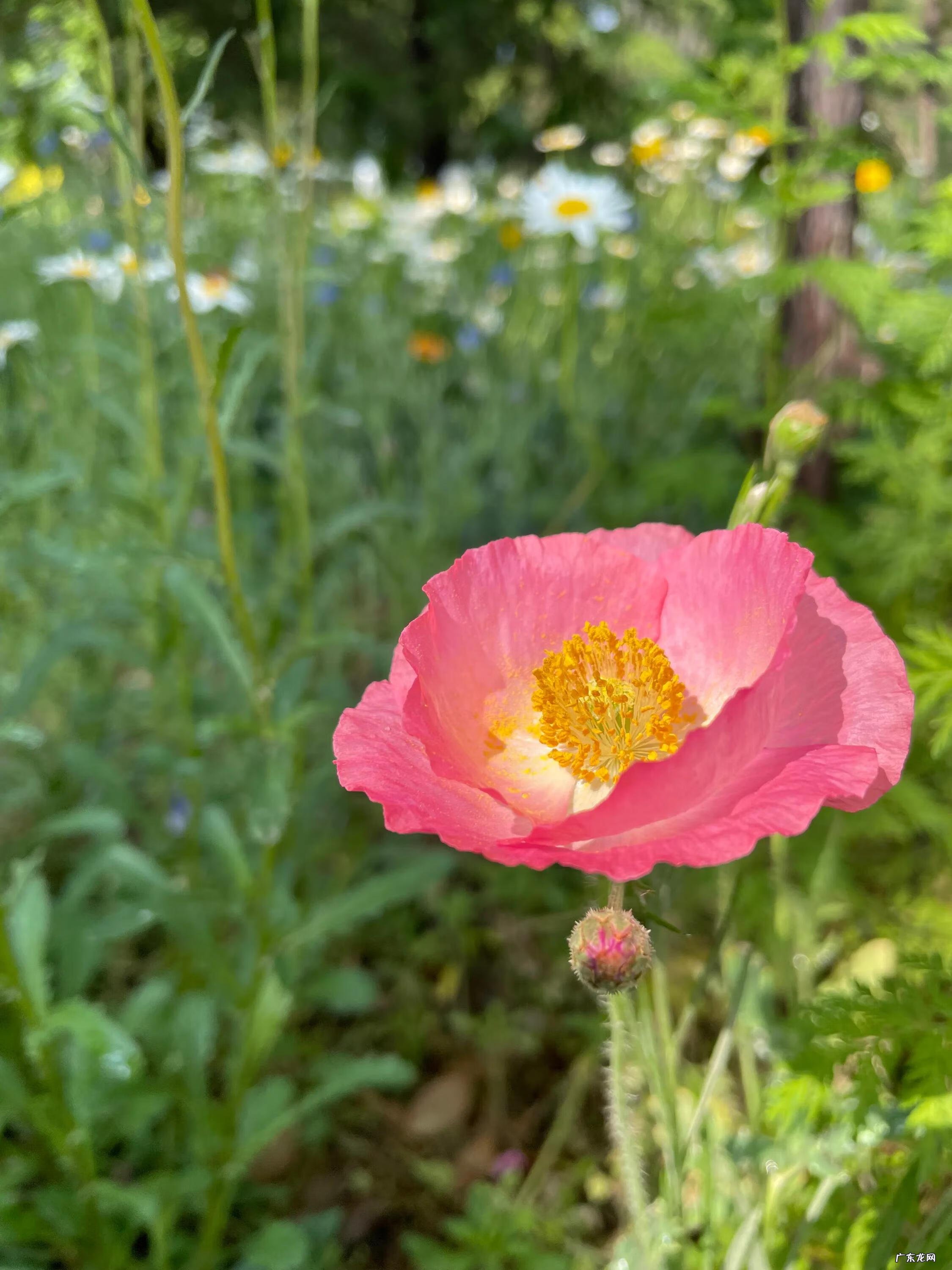 风水上东西比南北长好么 东西是长还是南北是长