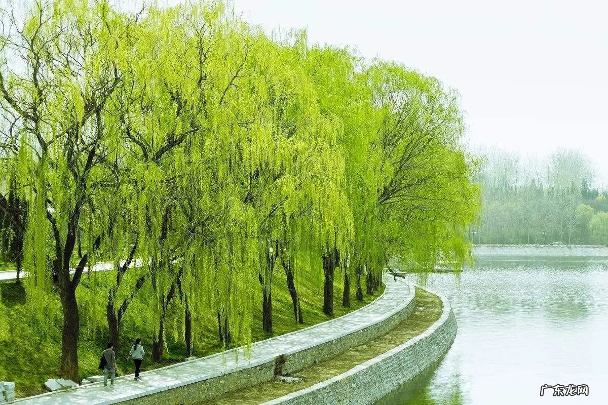 坟地有水风水怎么看旺后人