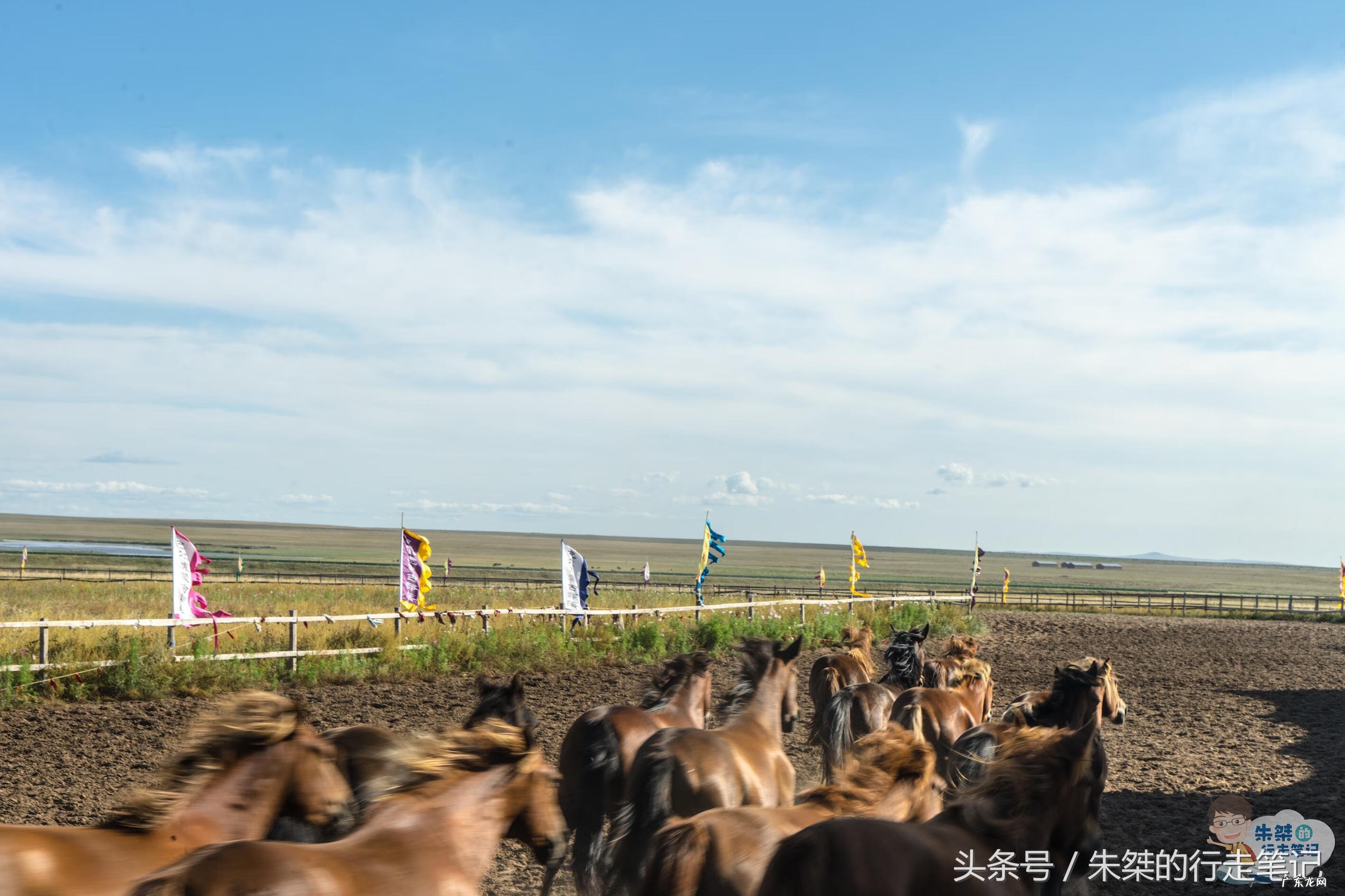 qq以前有个什么部落 qq部落301